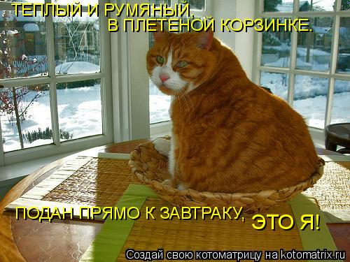 ТЕПЛЫЙ И РУМЯНЫЙ, В ПЛЕТЕНОЙ КОРЗИНКЕ. ПОДАН ПРЯМО К ЗАВТРАКУ, ЭТО Я!... Котоматрица: ТЕПЛЫЙ И РУМЯНЫЙ, В ПЛЕТЕНОЙ КОРЗИНКЕ. ПОДАН ПРЯМО К ЗАВТРАКУ, ЭТО Я!