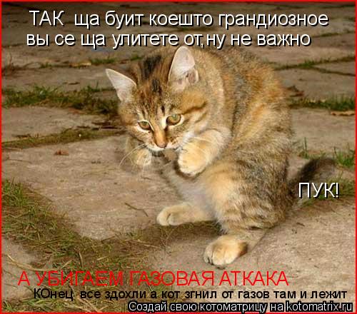 ТАК ща буит коешто грандиозное вы се ща улитете от,ну не важно ПУК! А УБИГАЕМ ГАЗОВАЯ АТКАКА КОнец ... Котоматрица: ТАК ща буит коешто грандиозное вы се ща улитете от,ну не важно ПУК! А УБИГАЕМ ГАЗОВАЯ АТКАКА КОнец все здохли а кот згнил от газов там и лежи