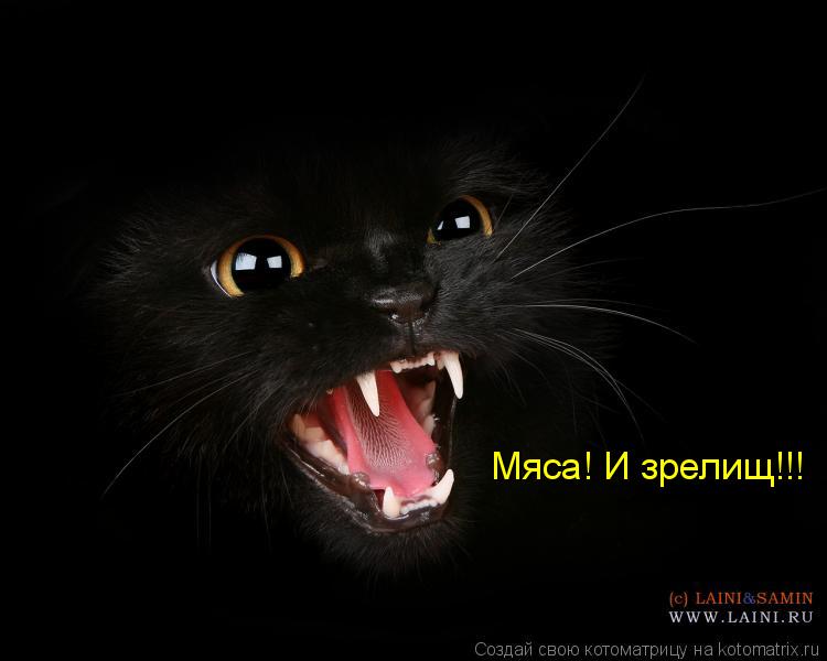 Мяса! И зрелищ!!!... Котоматрица: Мяса! И зрелищ!!!
