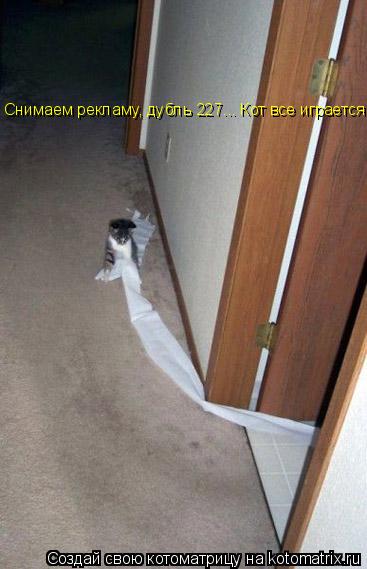 Снимаем рекламу, дубль 227... Кот все играется ((... Котоматрица: Снимаем рекламу, дубль 227... Кот все играется ((