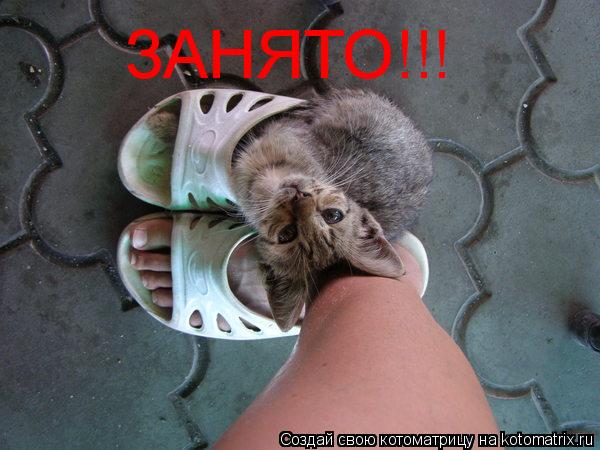 ЗАНЯТО!!!... Котоматрица: ЗАНЯТО!!!