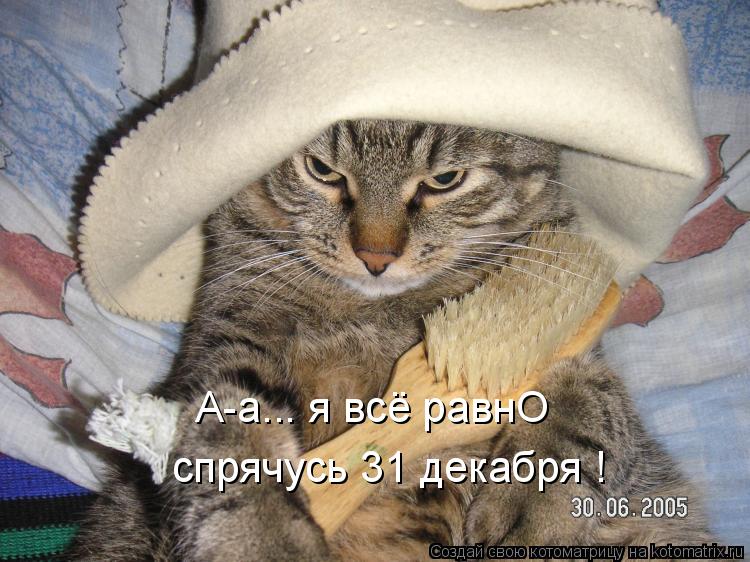 Котоматрица: спрячусь 31 декабря ! А-а... я всё равнО