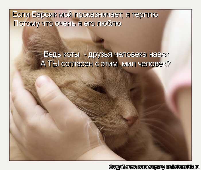 Если Барсик мой проказничает, я терплю Потому что очень я его люблю Ведь коты - друзья человека наве... Котоматрица: Если Барсик мой проказничает, я терплю Потому что очень я его люблю Ведь коты - друзья человека навек А ТЫ согласен с этим ,мил человек?