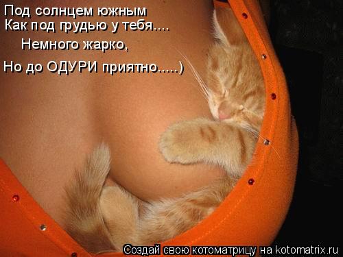 Под солнцем южным Как под грудью у тебя.... Немного жарко, Но до ОДУРИ приятно.....)... Котоматрица: Под солнцем южным Как под грудью у тебя.... Немного жарко, Но до ОДУРИ приятно.....)
