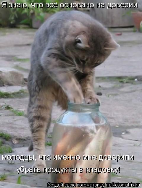 Я знаю, что всё основано на доверии молодцы, что именно мне доверили убрать продукты в кладовку!... Котоматрица: Я знаю, что всё основано на доверии молодцы, что именно мне доверили убрать продукты в кладовку!