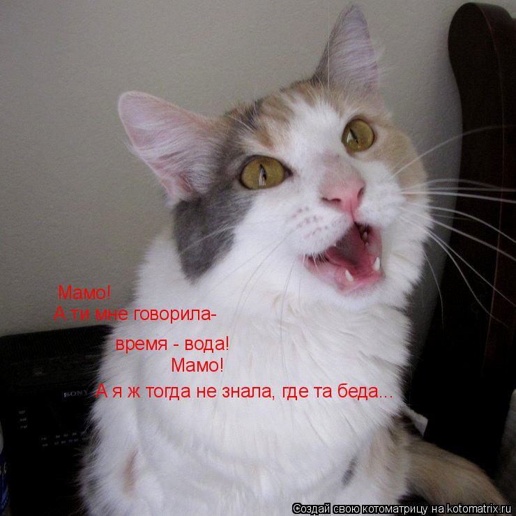 Мамо! А ти мне говорила- время - вода! Мамо! А я ж тогда не знала, где та беда...... Котоматрица: Мамо! А ти мне говорила- время - вода! Мамо! А я ж тогда не знала, где та беда...