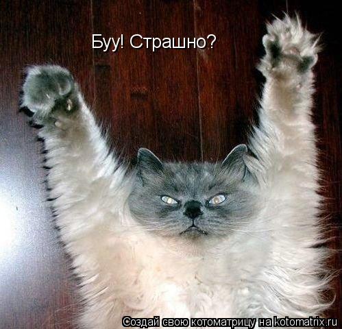 Буу! Страшно?... Котоматрица: Буу! Страшно?