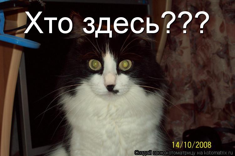 Хто здесь???... Котоматрица: Хто здесь???