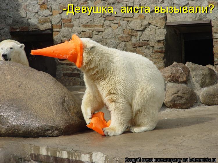 -Девушка, аиста вызывали?... Котоматрица: -Девушка, аиста вызывали?