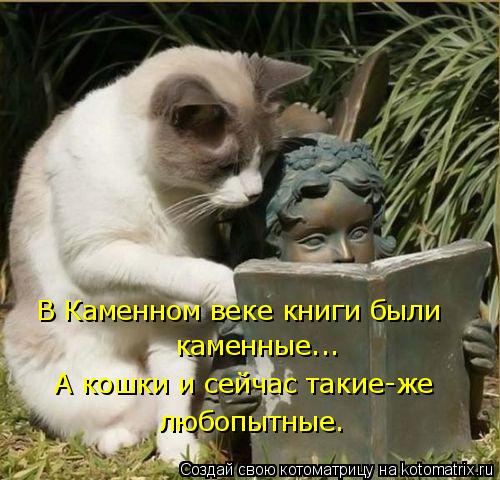 В Каменном веке книги были каменные... А кошки и сейчас такие-же любопытные.... Котоматрица: В Каменном веке книги были каменные... А кошки и сейчас такие-же любопытные.
