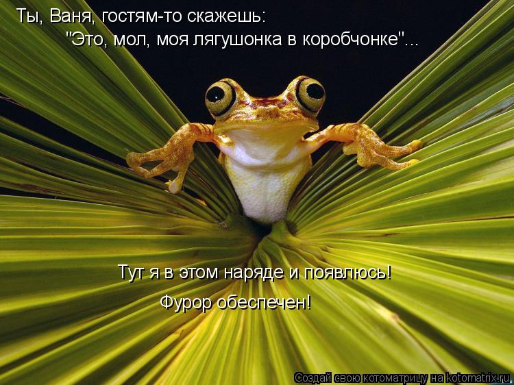 Ты, Ваня, гостям-то скажешь: "Это, мол, моя лягушонка в коробчонке"... Тут я в этом наряде и появлюсь... Котоматрица: Ты, Ваня, гостям-то скажешь: "Это, мол, моя лягушонка в коробчонке"... Тут я в этом наряде и появлюсь! Фурор обеспечен!