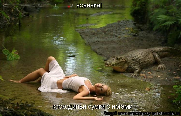 новинка! крокодильи сумки с ногами... Котоматрица: новинка! крокодильи сумки с ногами