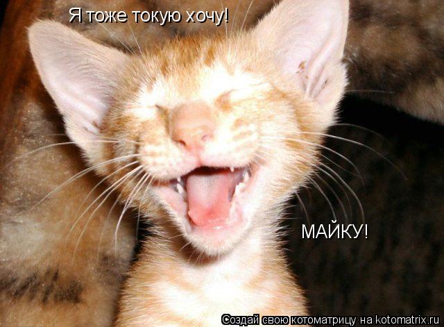 Я тоже токую хочу! МАЙКУ!... Котоматрица: Я тоже токую хочу! МАЙКУ!