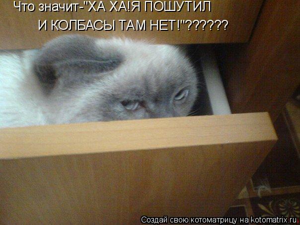 Что значит-"ХА ХА!Я ПОШУТИЛ И КОЛБАСЫ ТАМ НЕТ!"??????... Котоматрица: Что значит-"ХА ХА!Я ПОШУТИЛ И КОЛБАСЫ ТАМ НЕТ!"??????