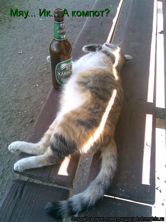 Мяу... Ик... А компот?... Котоматрица: Мяу... Ик... А компот?