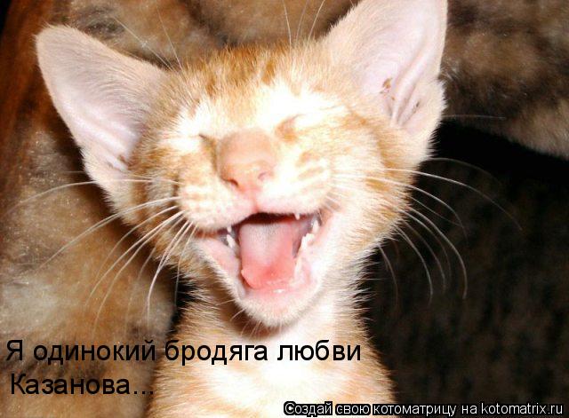Котоматрица: Я одинокий бродяга любви Казанова...