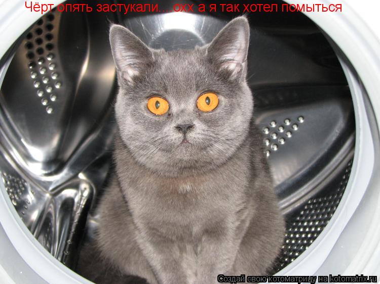 Котоматрица: Чёрт опять застукали....охх а я так хотел помыться