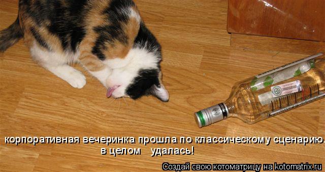 Котоматрица: корпоративная вечеринка прошла по классическому сценарию. в целом   удалась!