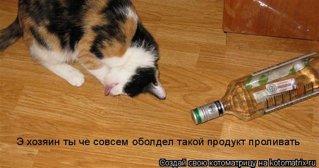 Котоматрица: Э хозяин ты че совсем оболдел такой продукт проливать
