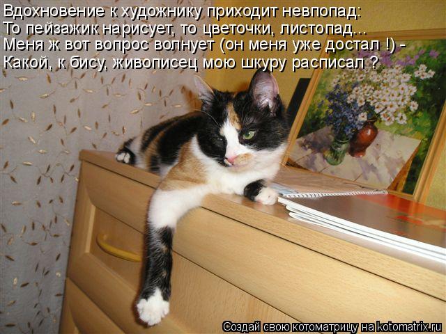 Котоматрица: Вдохновение к художнику приходит невпопад: То пейзажик нарисует, то цветочки, листопад... Какой, к бису, живописец мою шкуру расписал ? Меня ж