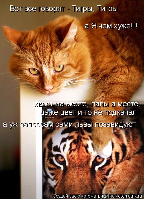 Вот все говорят - Тигры, Тигры а Я чем хуже!!! хвост на месте, лапы а месте, даже цвет и то не подкач... Котоматрица: Вот все говорят - Тигры, Тигры а Я чем хуже!!! хвост на месте, лапы а месте, даже цвет и то не подкачал а уж запросам сами львы позавидуют
