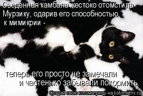 Съеденная камбала жестоко отомстила Мурзику, одарив его способностью к мимикрии - теперь его прос... Котоматрица: Съеденная камбала жестоко отомстила Мурзику, одарив его способностью к мимикрии - теперь его просто не замечали и частенько забывали по