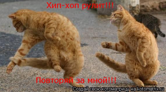 Хип-хоп рулит!!! Повторяй за мной!!!... Котоматрица: Хип-хоп рулит!!! Повторяй за мной!!!