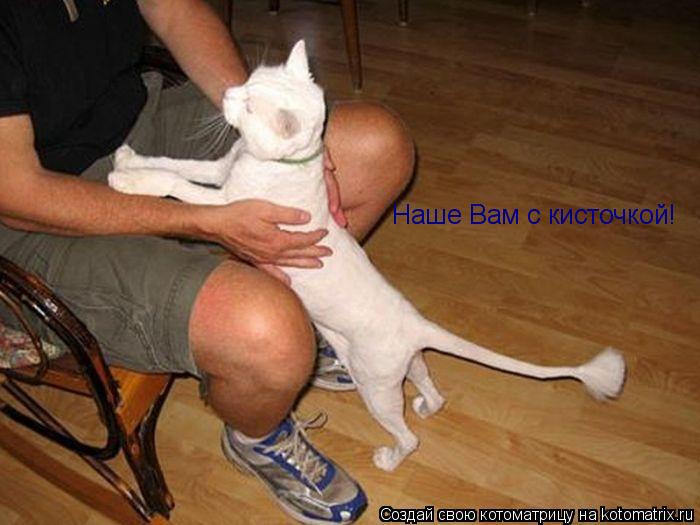 Наше Вам с кисточкой!... Котоматрица: Наше Вам с кисточкой!