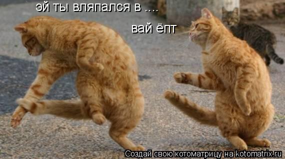 эй ты вляпался в .... вай ёпт... Котоматрица: эй ты вляпался в .... вай ёпт
