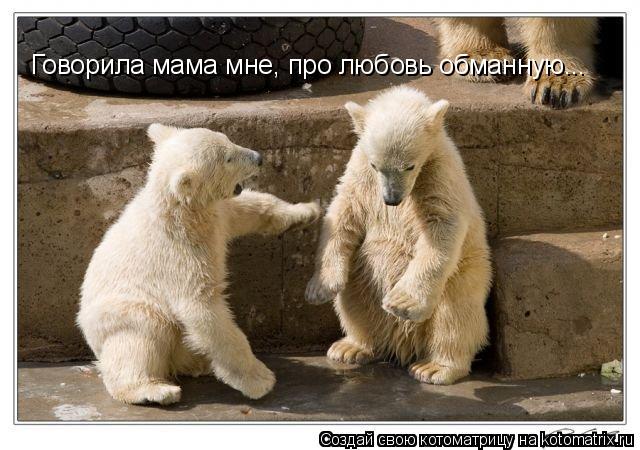 Котоматрица: Говорила мама мне, про любовь обманную...
