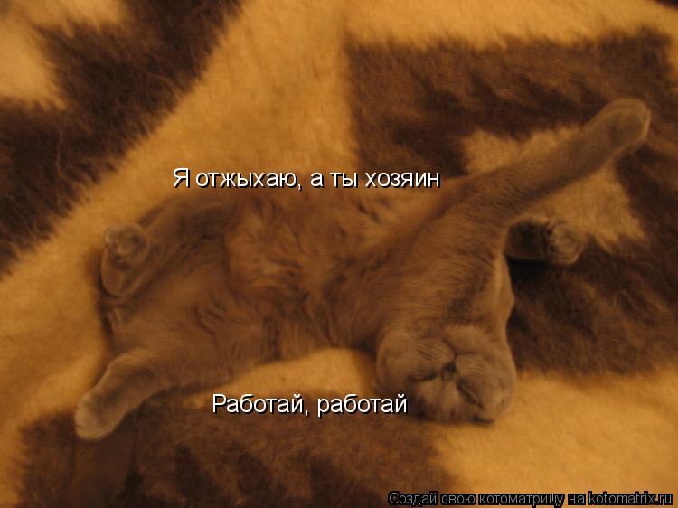 Котоматрица: Я отжыхаю, а ты хозяин Я отжыхаю, а ты хозяин Работай, работай
