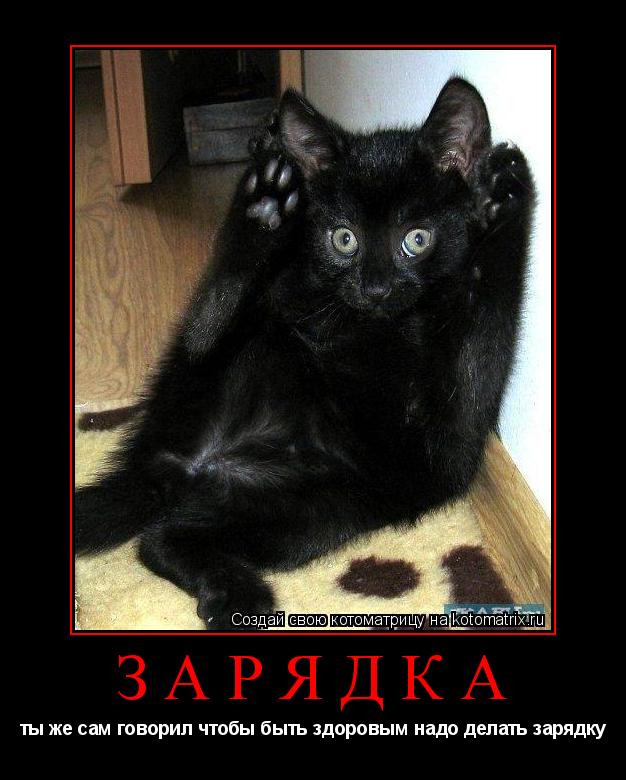 зарядка ты же сам говорил чтобы быть здоровым надо делать зарядку... Котоматрица: зарядка ты же сам говорил чтобы быть здоровым надо делать зарядку
