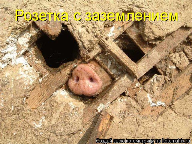 Котоматрица: Розетка с заземлением