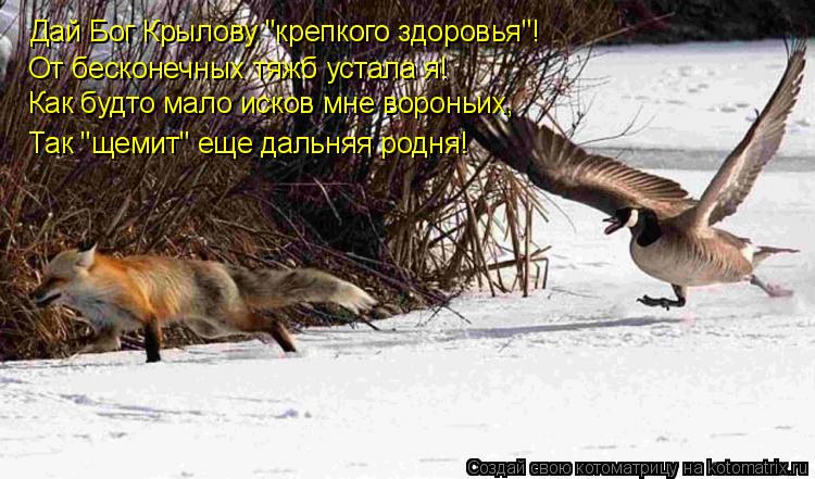 Котоматрица: Дай Бог Крылову "крепкого здоровья"! От бесконечных тяжб устала я! Как будто мало исков мне вороньих, Так "щемит" еще дальняя родня!