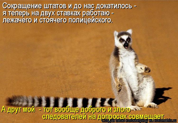 Котоматрица: Сокращение штатов и до нас докатилось -  А друг мой  - тот вообще доброго и злого  следователей на допросах совмещает. я теперь на двух ставка