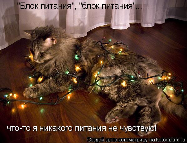 Котоматрица: "Блок питания", "блок питания"... что-то я никакого питания не чувствую!