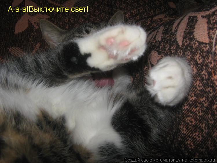 А-а-а!Выключите свет!... Котоматрица: А-а-а!Выключите свет!