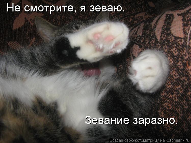 Не смотрите, я зеваю. Зевание заразно.... Котоматрица: Не смотрите, я зеваю. Зевание заразно.