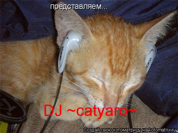 Котоматрица: представляем... DJ ~catyaro~