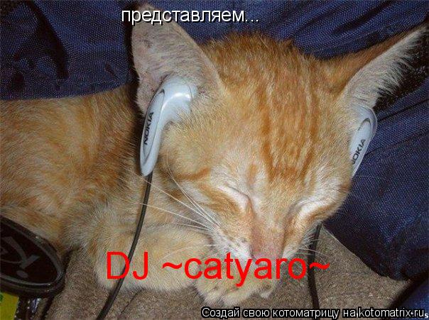 Котоматрица: представляем... DJ ~catyaro~