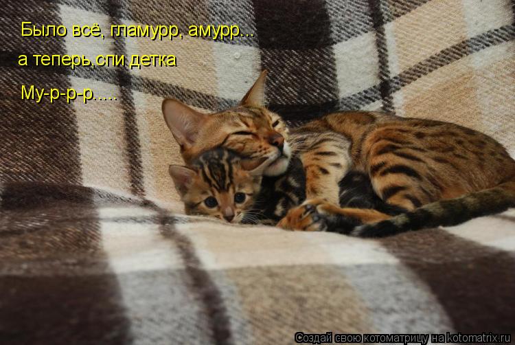 Котоматрица: Было всё, гламурр, амурр... а теперь,спи детка Му-р-р-р.....