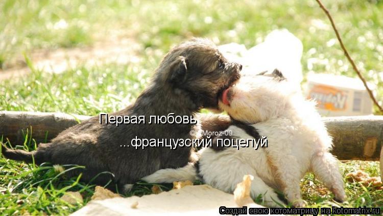 Котоматрица: Первая любовь ...французский поцелуй