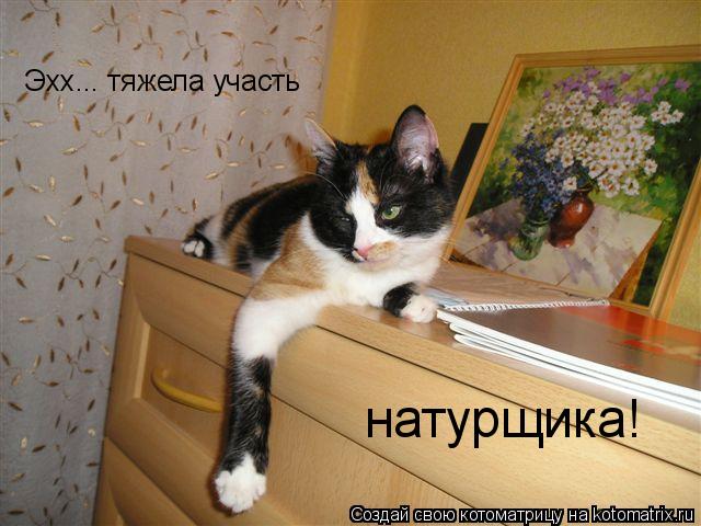 Котоматрица: Эхх... тяжела участь натурщика!