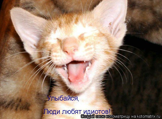 Котоматрица: Улыбайся, Люди любят идиотов!