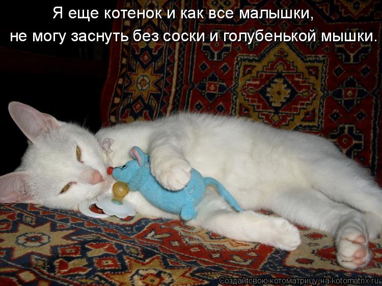 Котоматрица: не могу заснуть без соски и голубенькой мышки. Я еще котенок и как все малышки,
