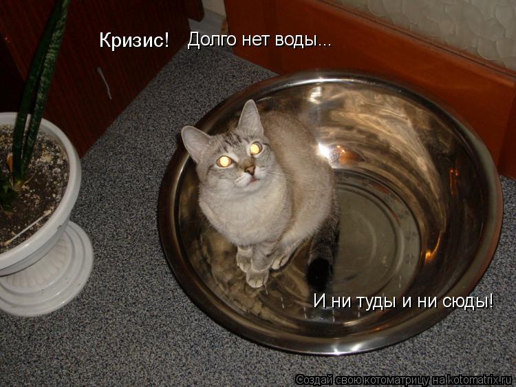 Без воды и не туды и не сюды картинки