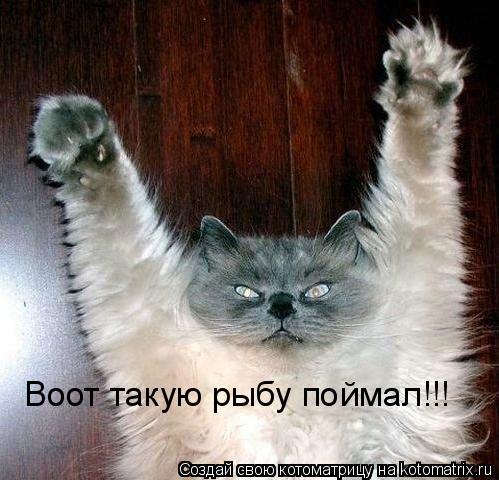 Котоматрица: Воот такую рыбу поймал!!!