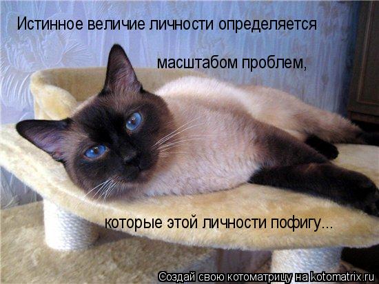 Котоматрица: Истинное величие личности определяется  которые этой личности пофигу... масштабом проблем,