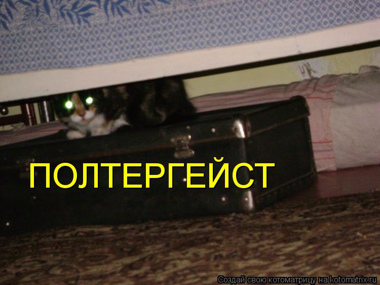 Котоматрица: ПОЛТЕРГЕЙСТ
