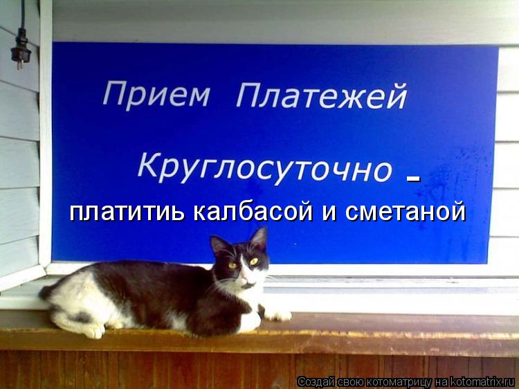 - платитиь калбасой и сметаной... Котоматрица: - платитиь калбасой и сметаной